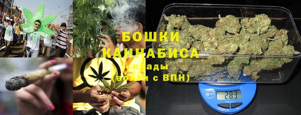 ГАЛЛЮЦИНОГЕННЫЕ ГРИБЫ Заволжск