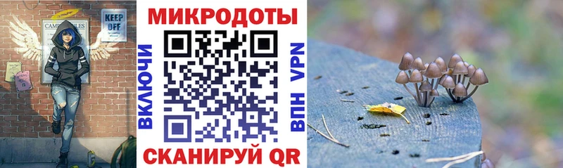 Галлюциногенные грибы Magic Shrooms  Купить где  Ува 
